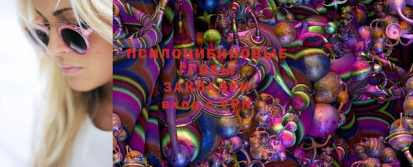 стаф Краснотурьинск