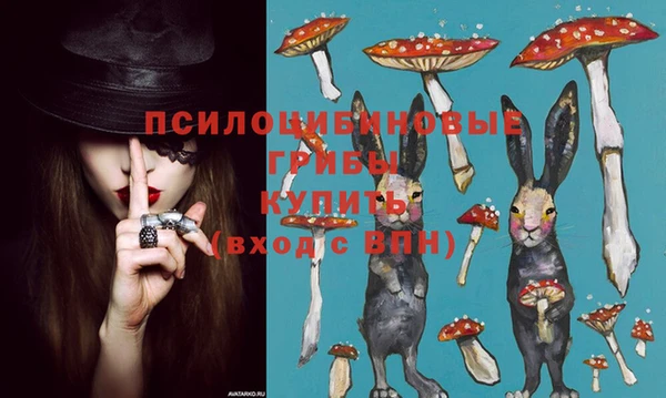 сатива Алапаевск