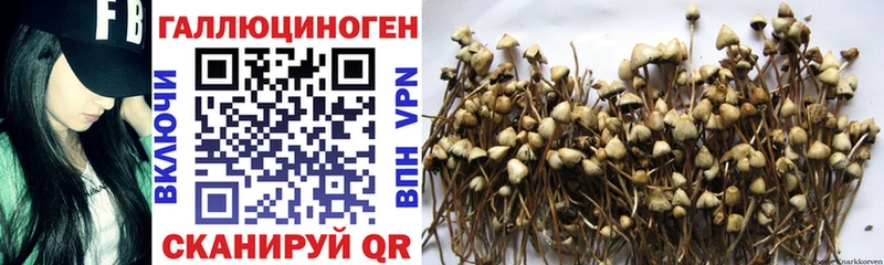 Галлюциногенные грибы прущие грибы  Серафимович 